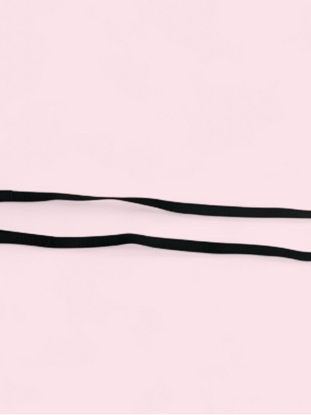 Black dog leash